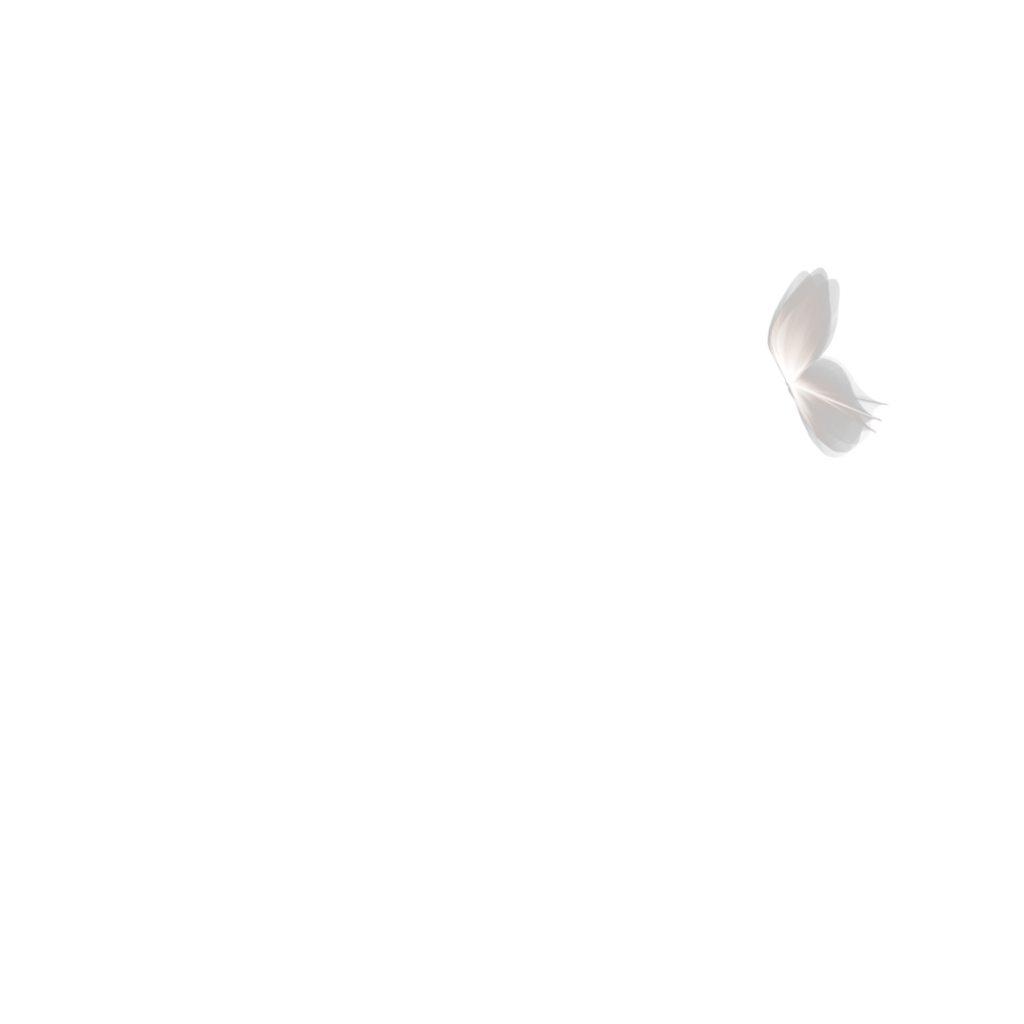 Frases-Palavras_a vida é hoje