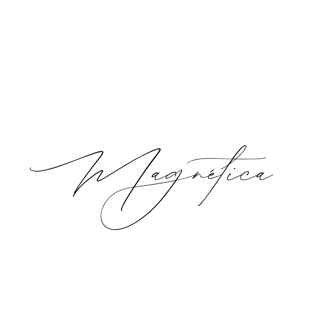 a-autenticidade-é-magnética